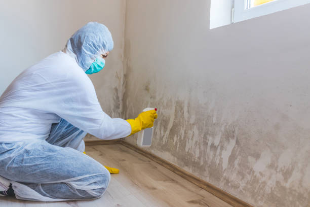 Licensed Commercial Mold Remediation service in Bedford, PA - WQB Mold Removal