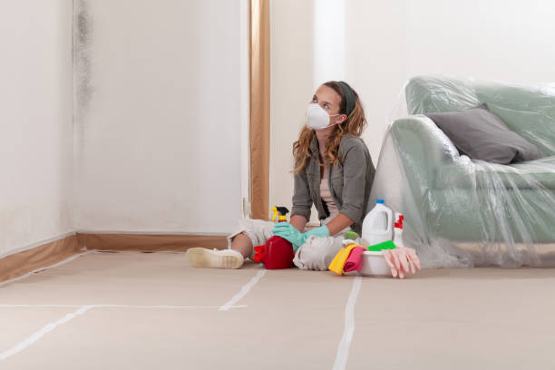 Reliable Commercial Mold Remediation contractor in Bedford, PA by WQB Mold Removal